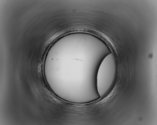 X0000100420778200806060947