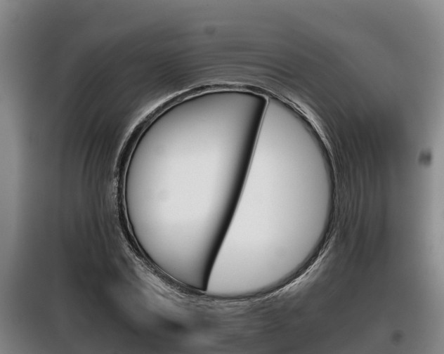 X0000100420779200806060947
