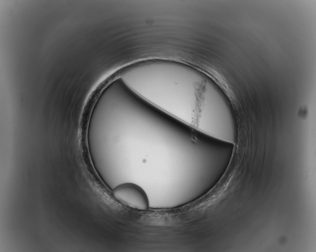 X0000100420780200806060947