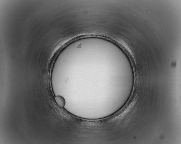 X0000100420781200806060947