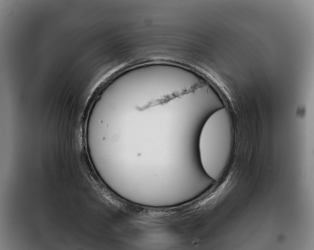 X0000100420782200806060947