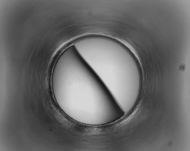 X0000100420783200806060947