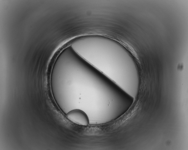 X0000100420784200806060947