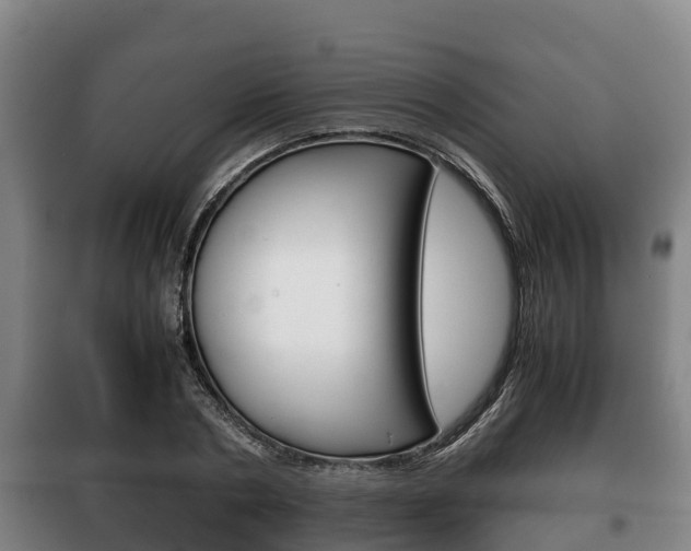 X0000100420786200806060947