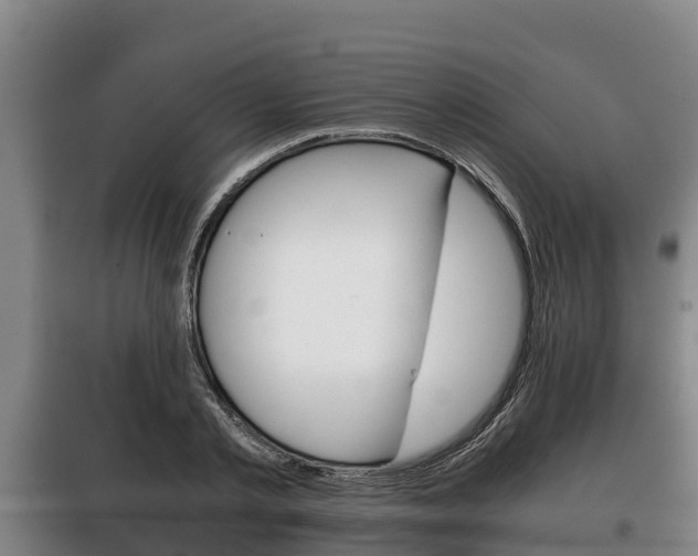 X0000100420789200806060947