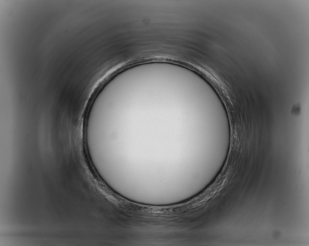 X0000100420790200806060947