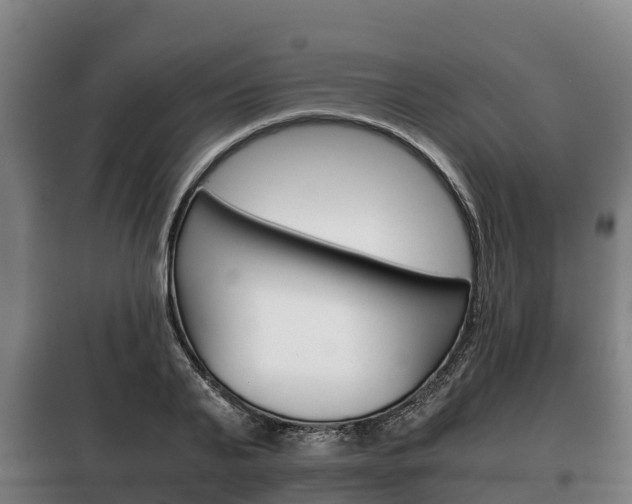 X0000100420791200806060947