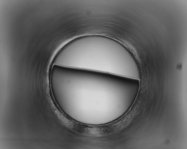X0000100420792200806060947