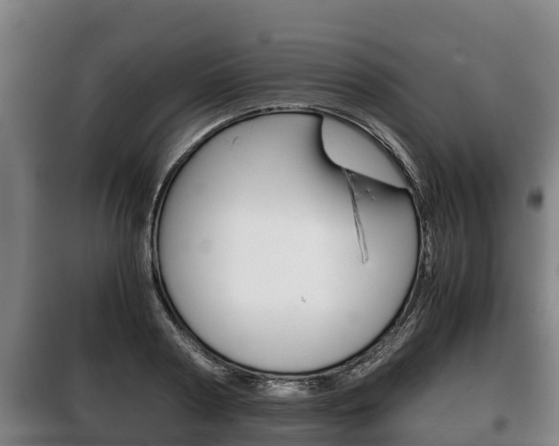 X0000100420794200806060947