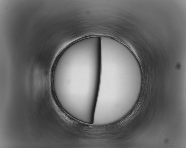 X0000100420795200806060947