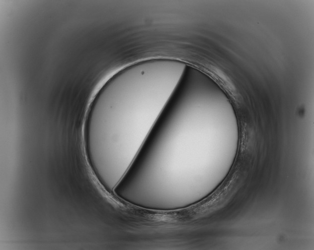 X0000100420796200806060947