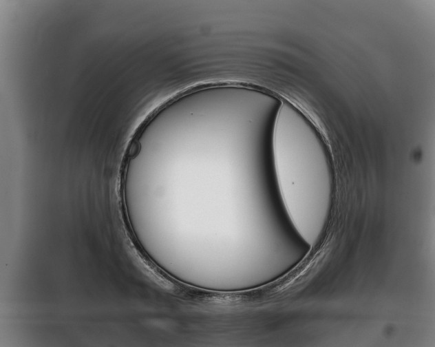 X0000100420797200806060947