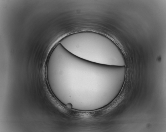 X0000100420798200806060947