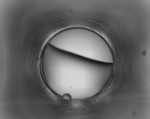 X0000100420799200806060947