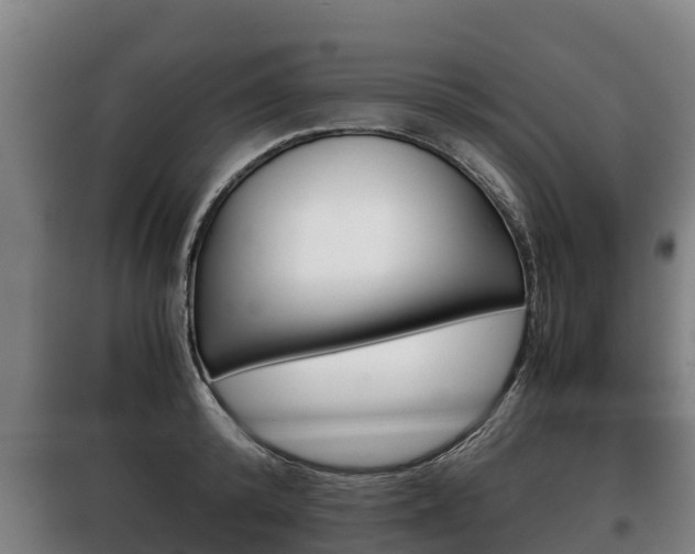 X0000100420800200806060946
