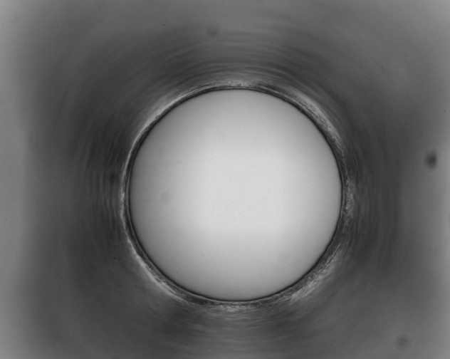 X0000100420802200806060946