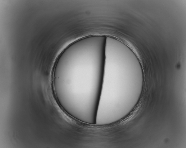 X0000100420803200806060946