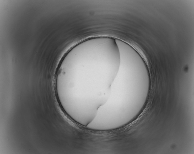 X0000100420805200806060946