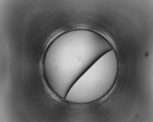X0000100420806200806060946