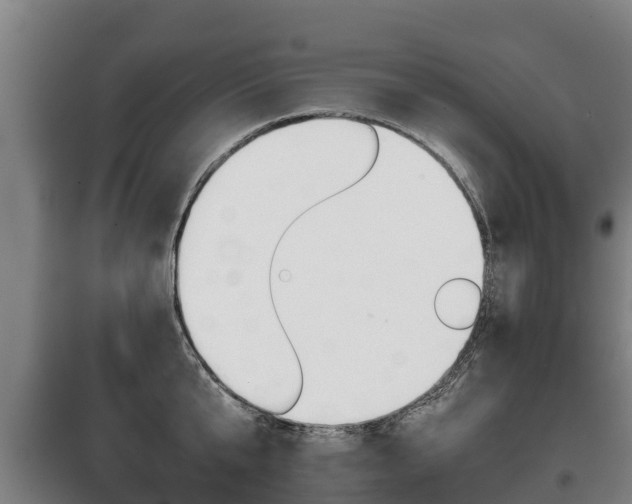 X0000100420807200806060946