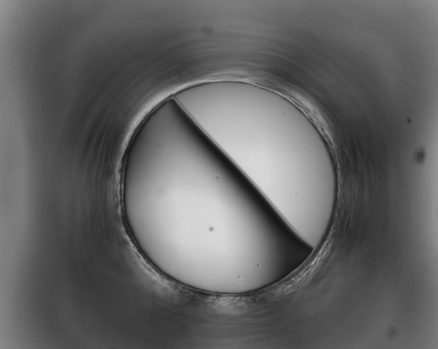 X0000100420808200806060946