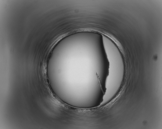 X0000100420809200806060946