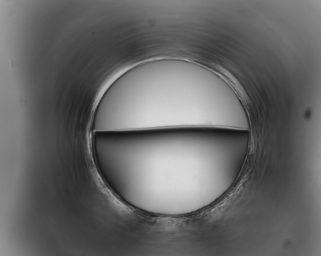X0000100420812200806060946