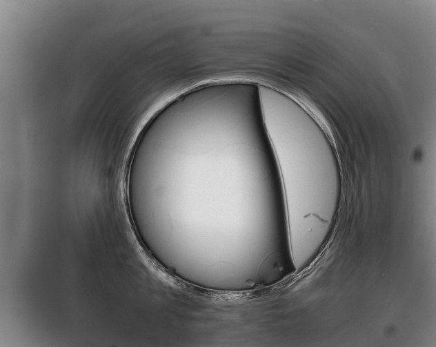 X0000100420813200806060946