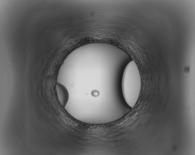 X0000100420817200806060946