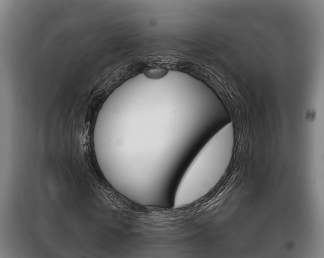 X0000100420818200806060946