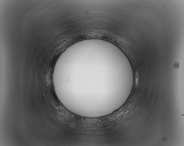 X0000100420819200806060946