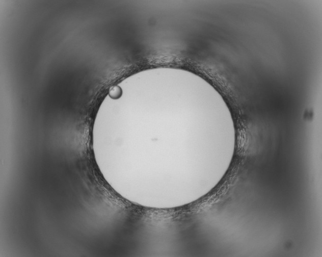 X0000100420820200806060946