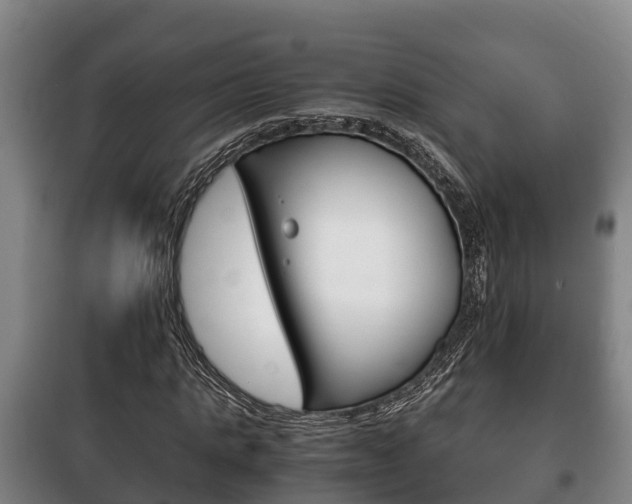 X0000100420821200806060946