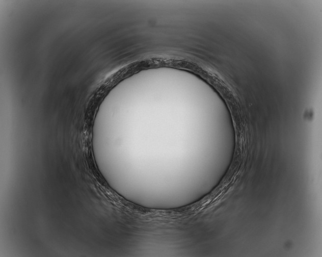 X0000100420822200806060946