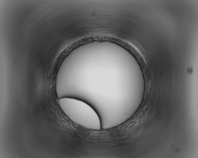 X0000100420823200806060946