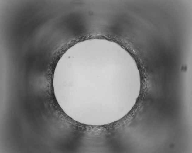 X0000100420824200806060946