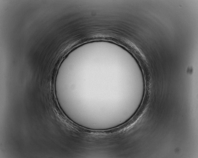 X0000100420825200806060946