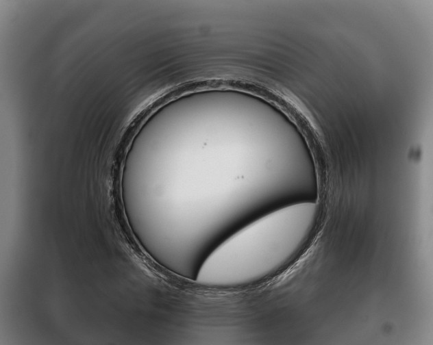 X0000100420826200806060946
