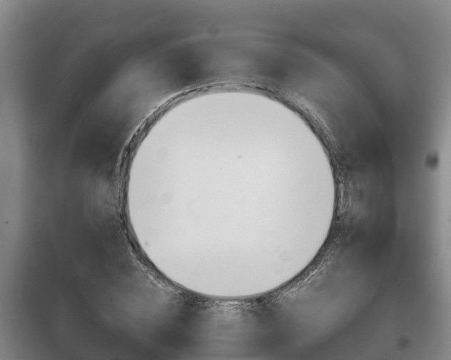 X0000100420828200806060946