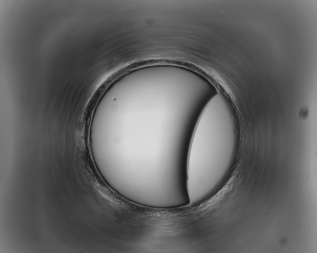 X0000100420830200806060946