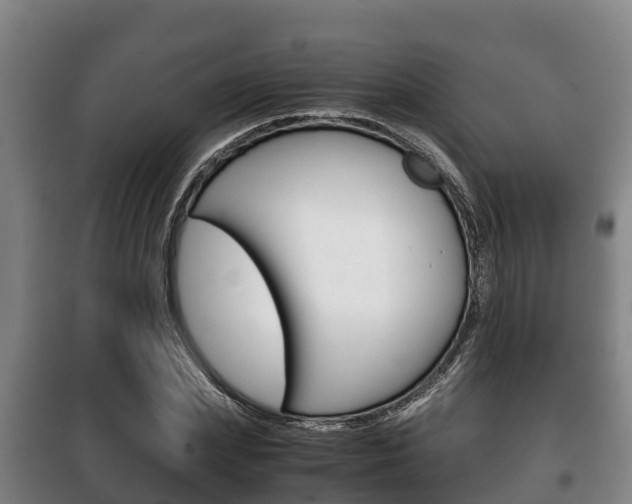 X0000100420831200806060946