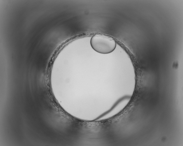 X0000100420832200806060946