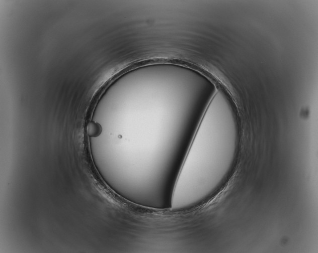 X0000100420834200806060946