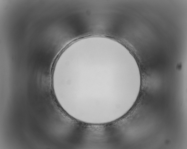 X0000100420836200806060946
