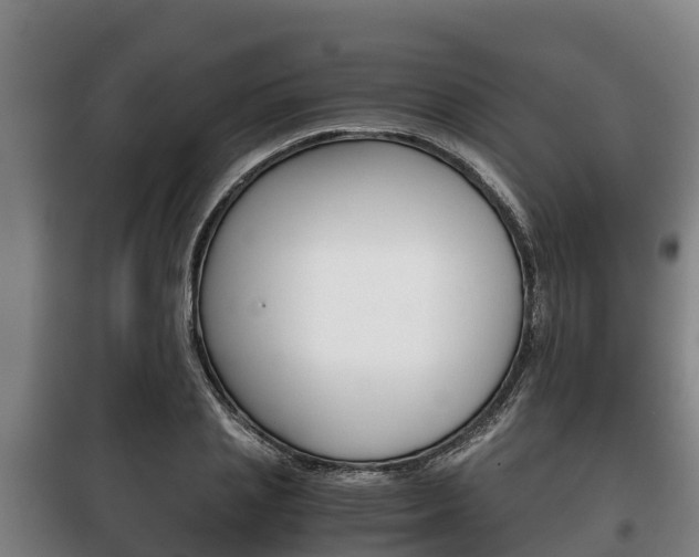 X0000100420837200806060946