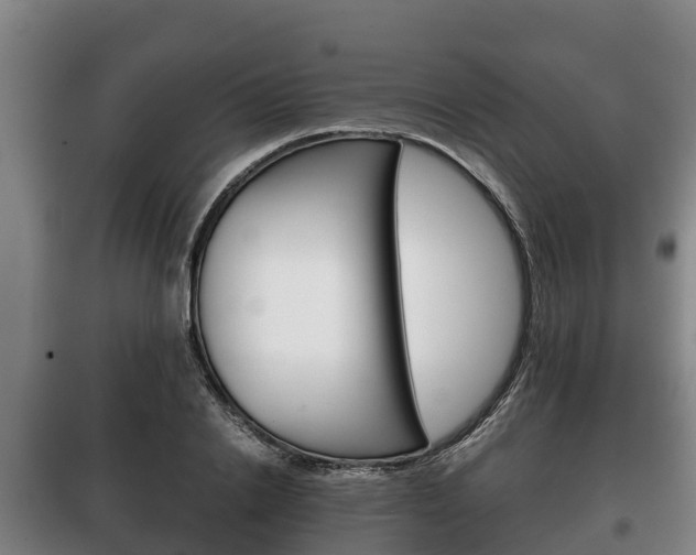 X0000100420838200806060946