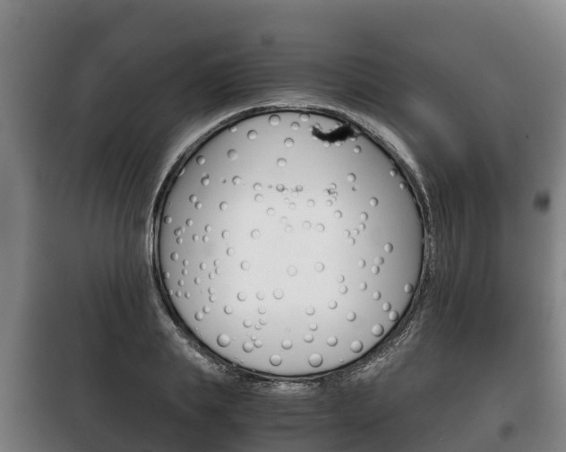 X0000100420839200806060946