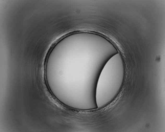 X0000100420840200806060946