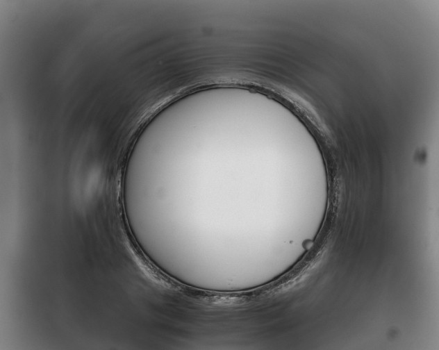 X0000100420841200806060946