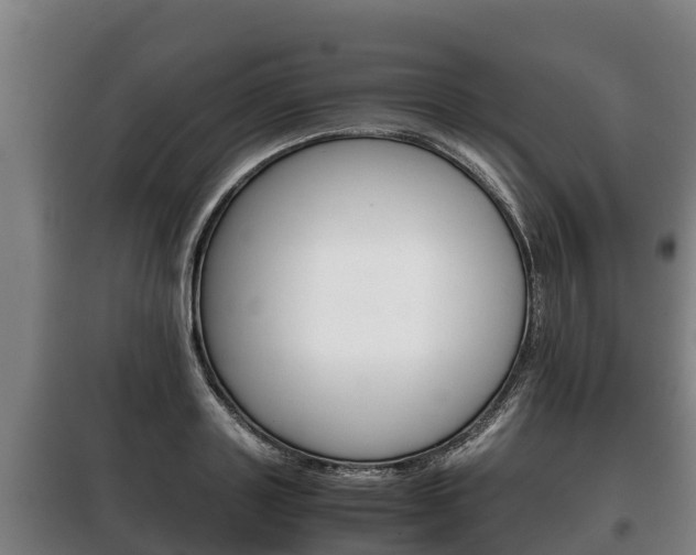 X0000100420843200806060946